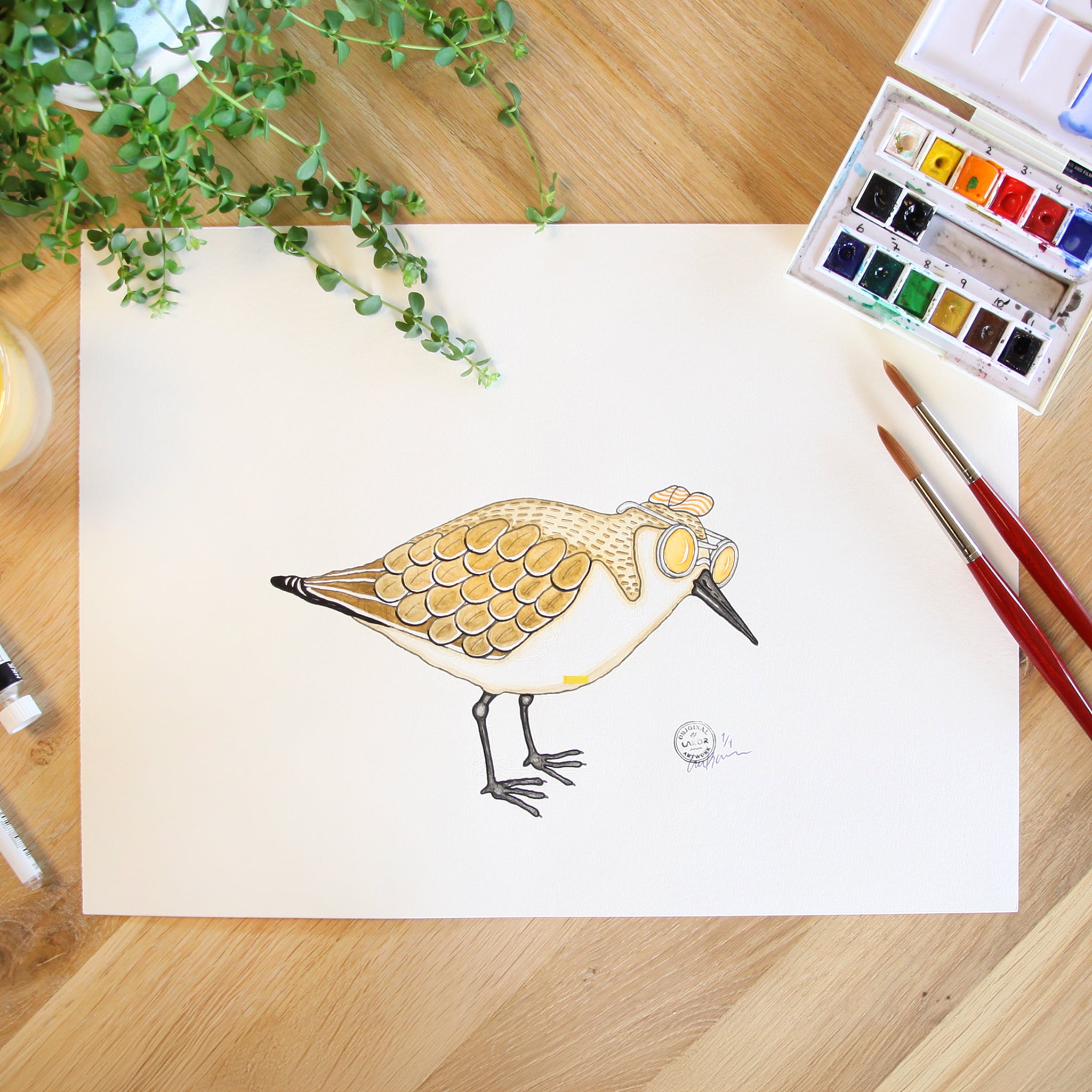 Sandpiper Sunshine Original